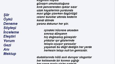 Şiir Sarnıcı (e-dergi), Temmuz 2023, Sayı 17