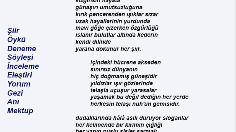 Şiir Sarnıcı (e-dergi), Temmuz 2023, Sayı 17