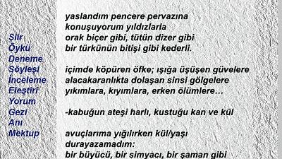 Şiir Sarnıcı (e-dergi), Ocak 2024 Sayı 19