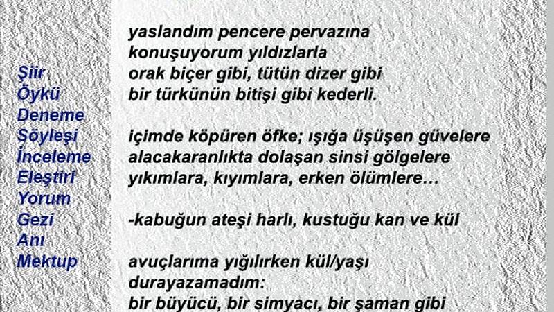 Şiir Sarnıcı (e-dergi), Ocak 2024 Sayı 19