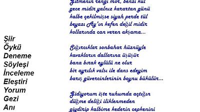 Şiir Sarnıcı (e-dergi), Temmuz 2024, Sayı 21