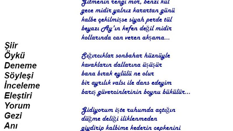 Şiir Sarnıcı (e-dergi), Temmuz 2024, Sayı 21