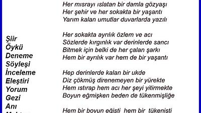 Şiir Sarnıcı (e-dergi), Ekim 2024, Sayı 22