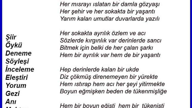 Şiir Sarnıcı (e-dergi), Ekim 2024, Sayı 22