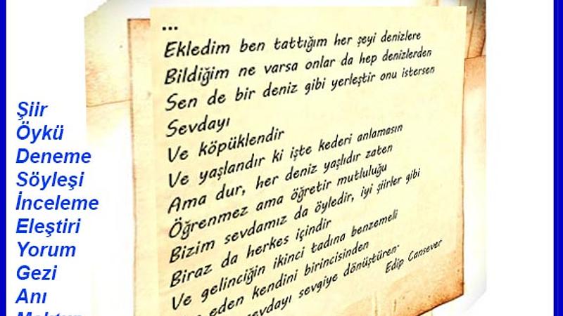 Şiir Sarnıcı (e-dergi), Ocak 2025, Sayı 24