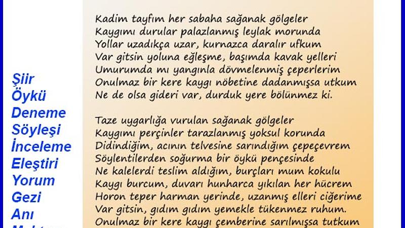 Şiir Sarnıcı (e-dergi), Temmuz 2025, Sayı 25