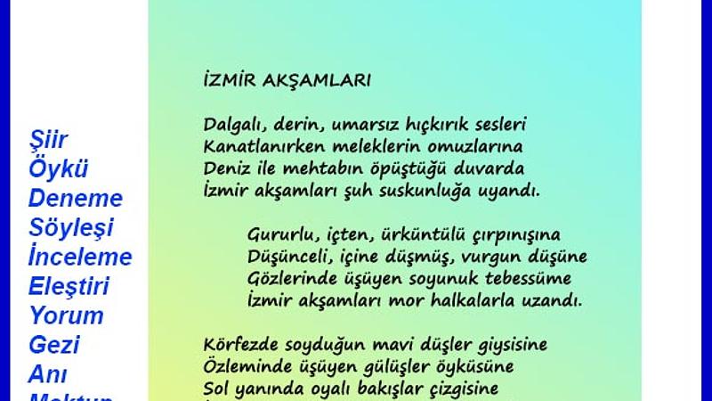 Şiir Sarnıcı (e-dergi), Ocak 2026, Sayı 27