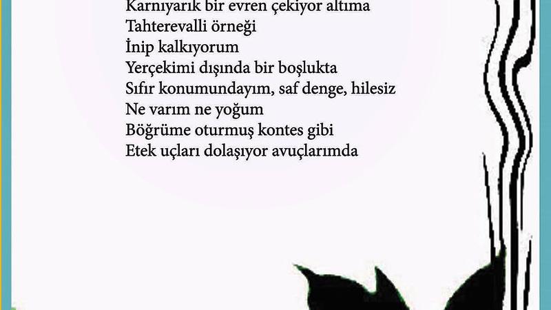 Bir Damla Suda Halkalar 